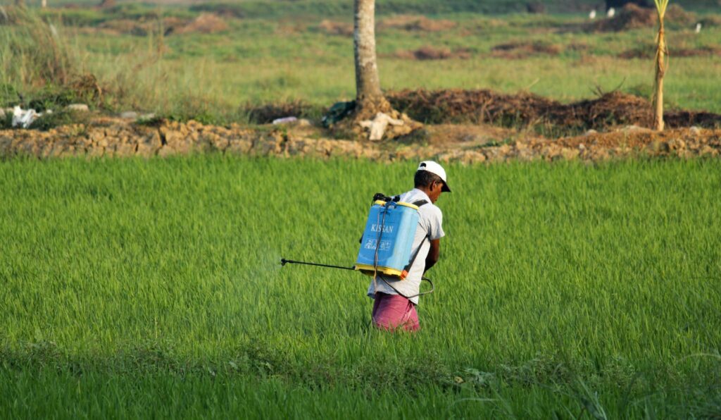 A man spraying pesticides in a field